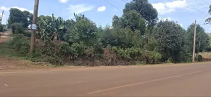 100×100 Plot for Sale – Muguga Kerwa, Kikuyu