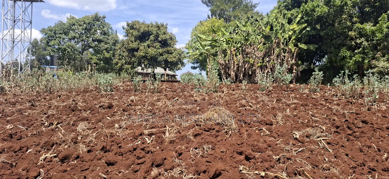 50×100 Residential Plot for Sale – Muguga Thamanda, Kikuyu