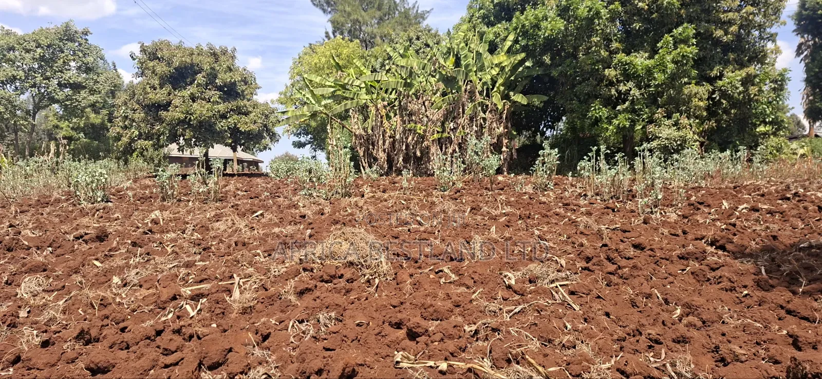 50×100 Residential Plot for Sale – Muguga Thamanda, Kikuyu