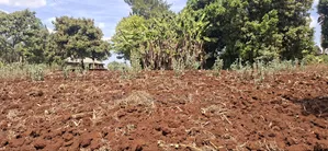 50×100 Residential Plot for Sale – Muguga Thamanda, Kikuyu