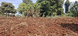50×100 Residential Plot for Sale – Muguga Thamanda, Kikuyu