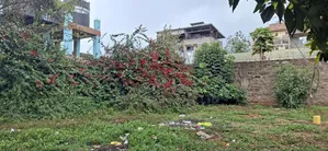 50×100 Plot for Sale – Kinoo Prime Resident