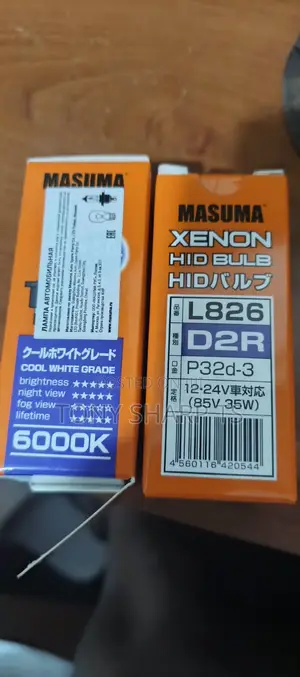 D2r Headlights Bulb