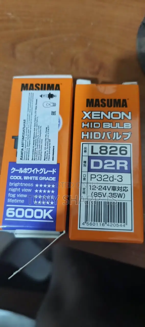 D2r Headlights Bulb