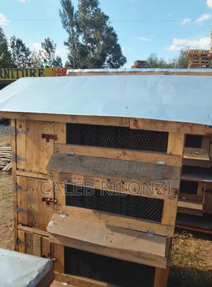 3 Tier Chicken House