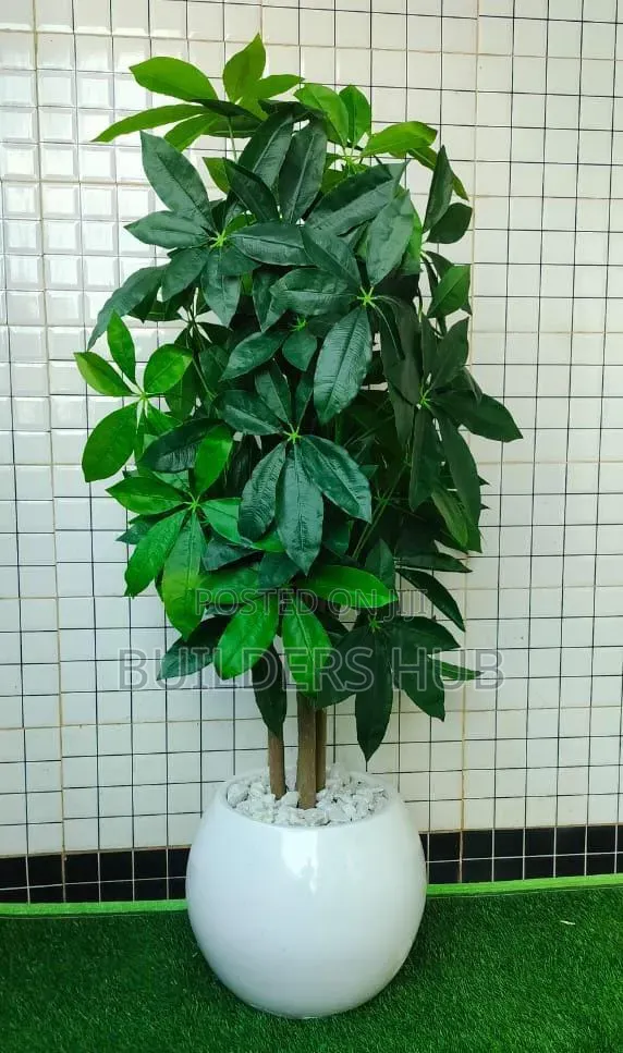 Artificial Plant Money Tree Fibre Potted