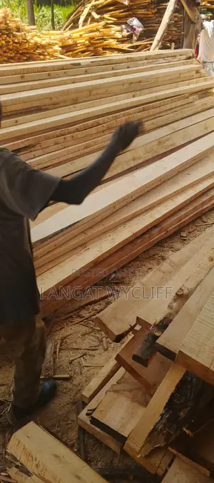 Softwoods Timber