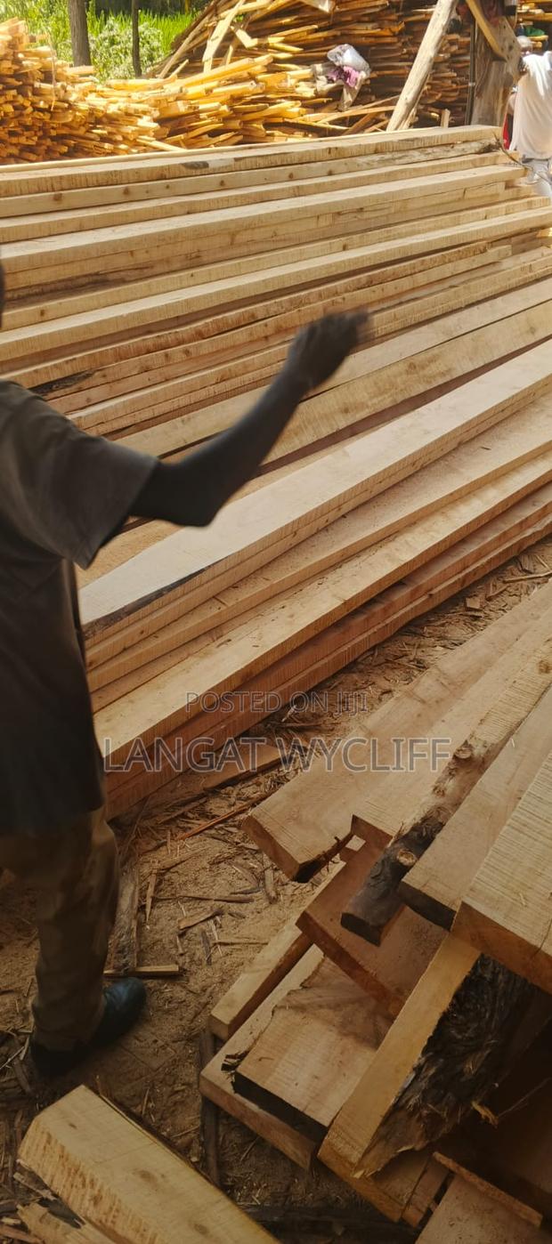 Softwoods Timber - thumbnail 2