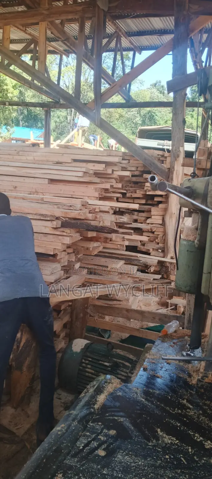 Hardwoods and Timber