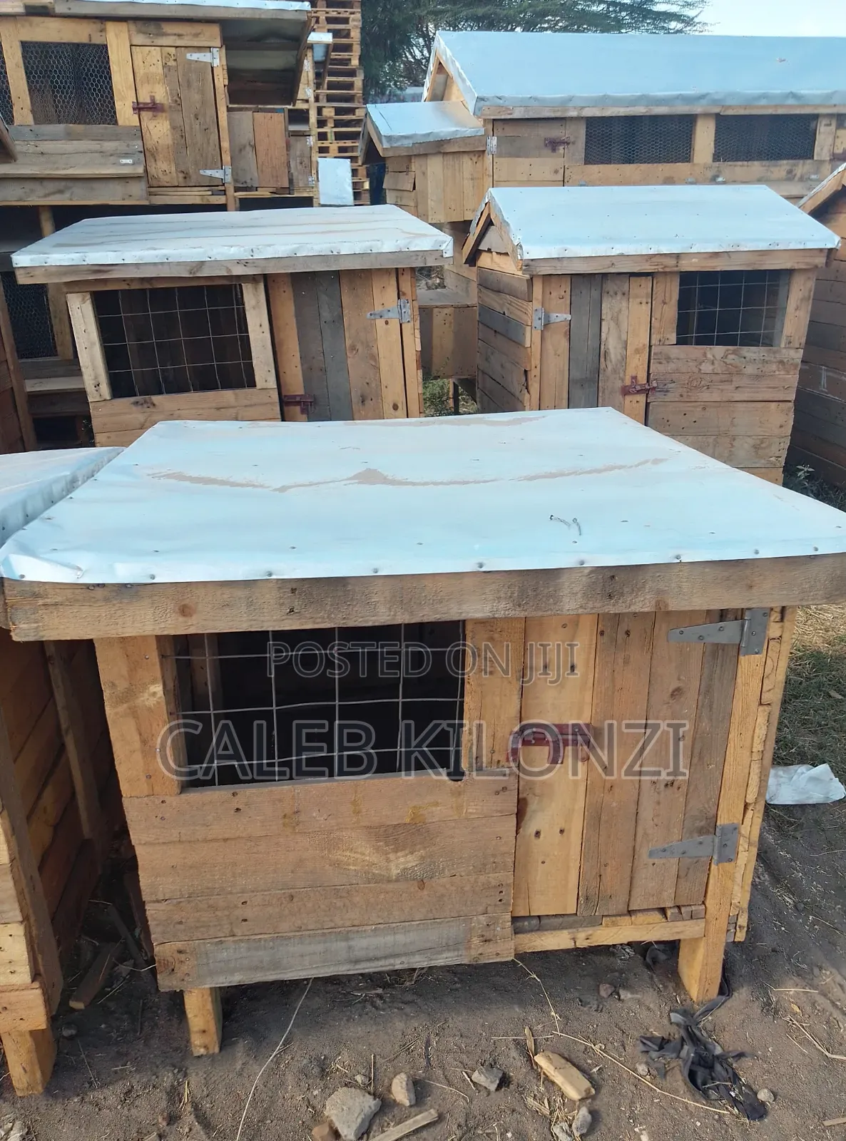 Dog Kennel