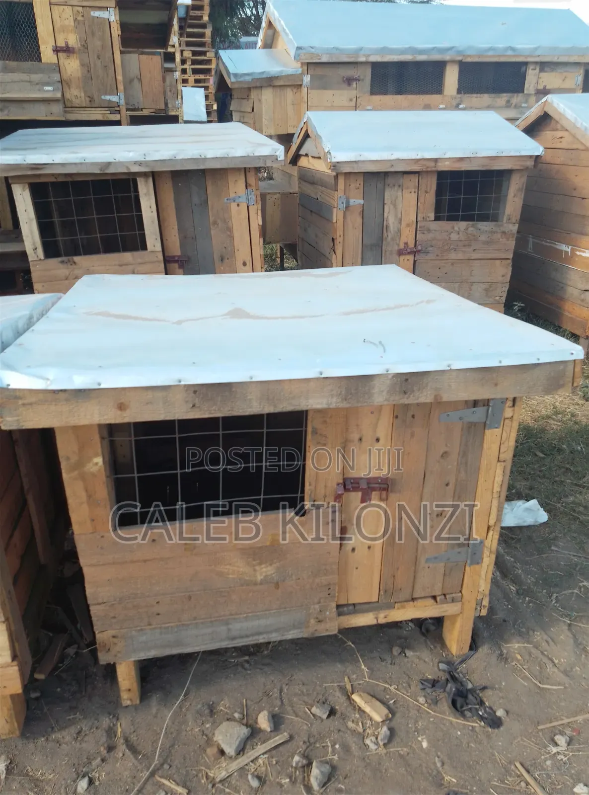 Dog Kennel