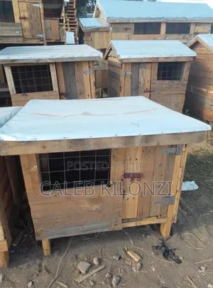 Dog Kennel