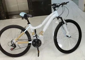 Reset Mountain Bike