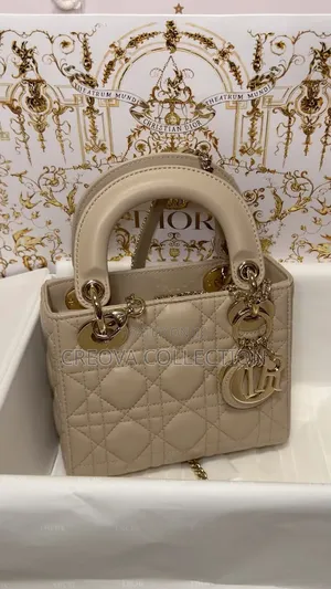Beautiful Ladies Bag
