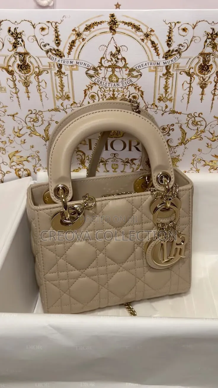 Beautiful Ladies Bag