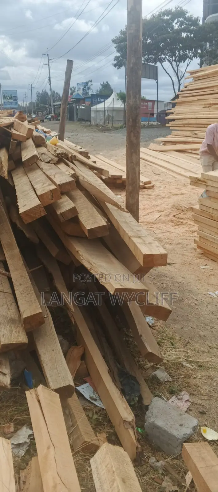 Stout Timber and Wood