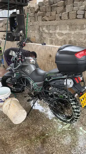 Tekken Forza 250 2023 Green