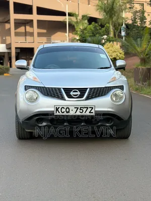 Nissan Juke 2012 Silver