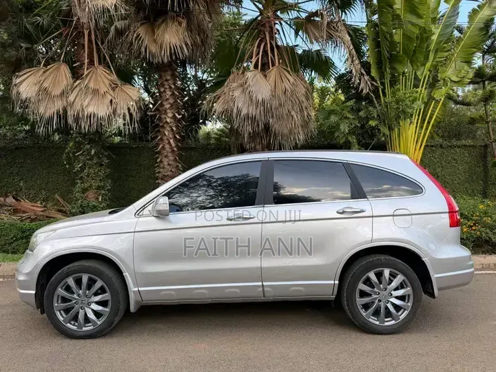 Honda CR-V 2010 Gray