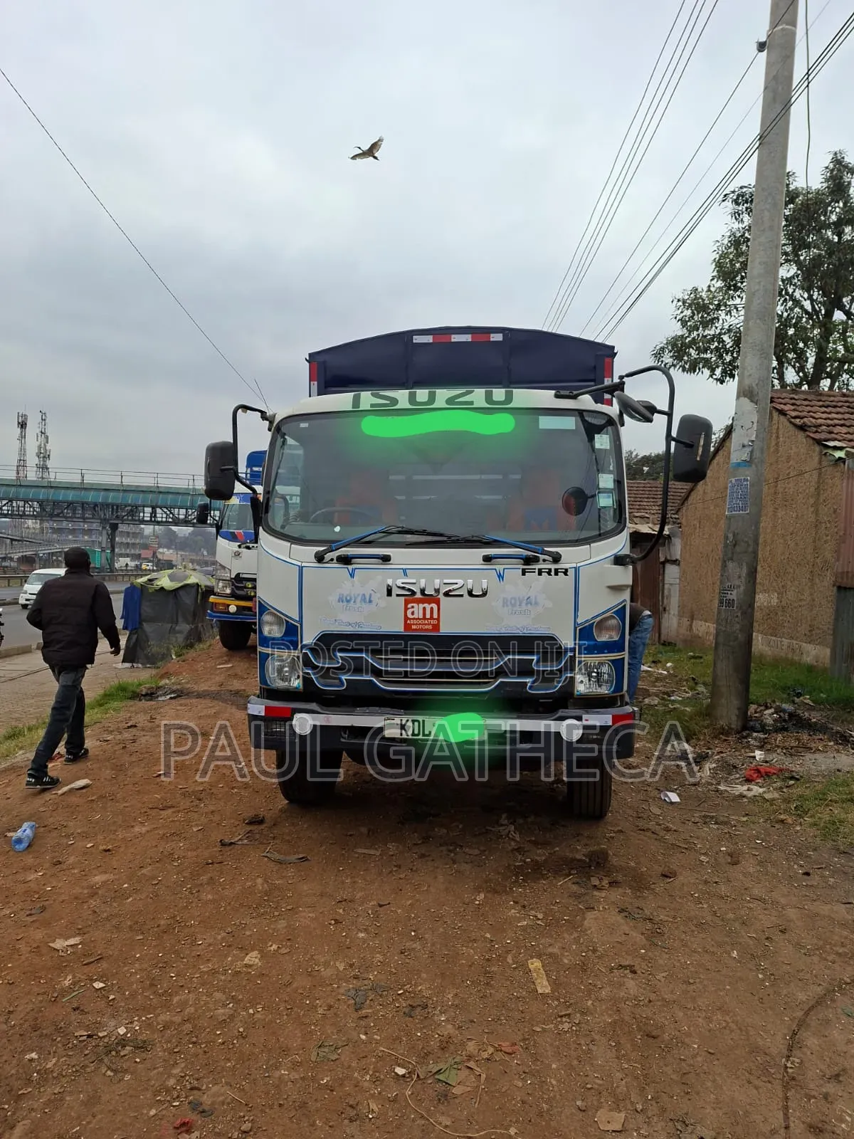 Isuzu Local FRR