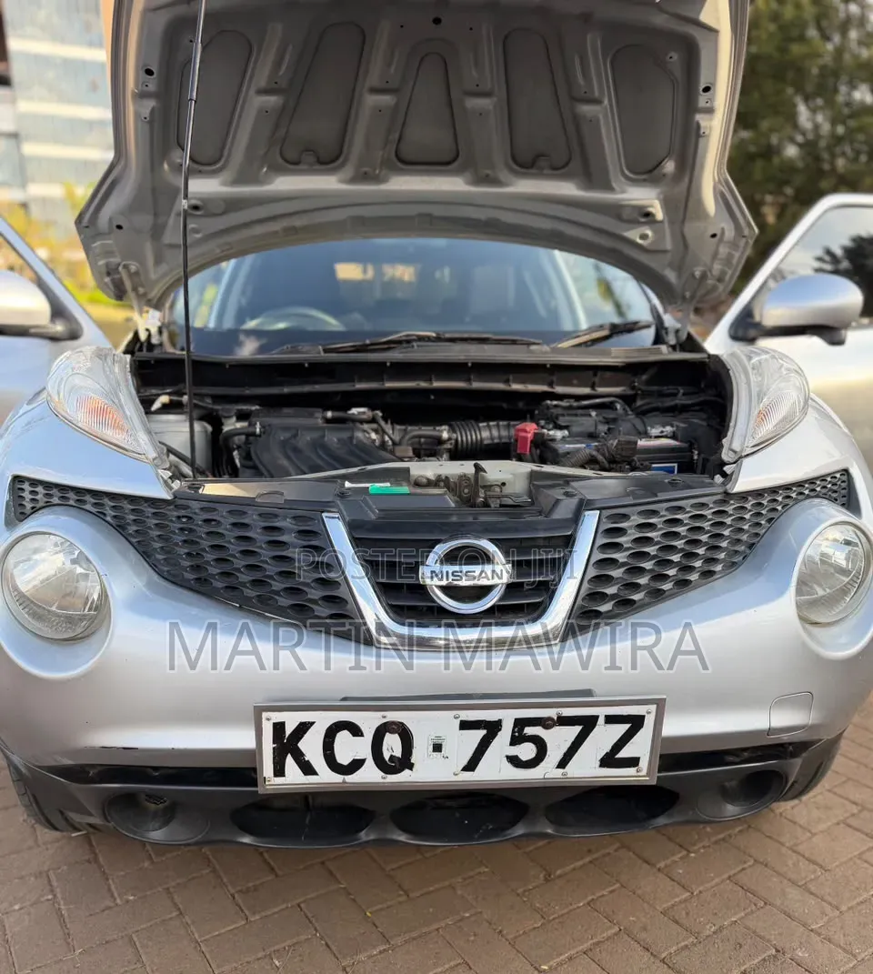Nissan Juke 2012 Silver