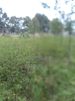 1/4 Acre in Nyandarua County