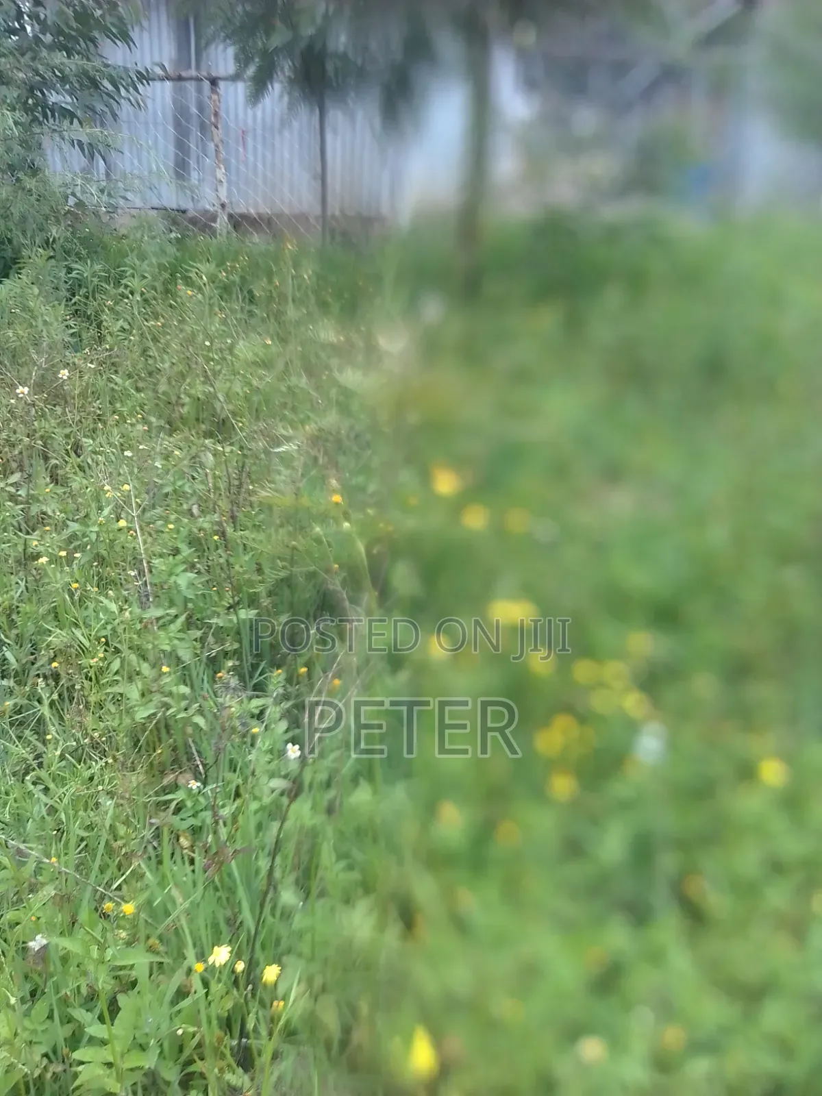 1/4 Acre in Nyandarua County