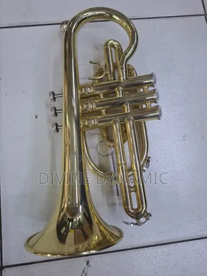 B Cornet 11.6mm