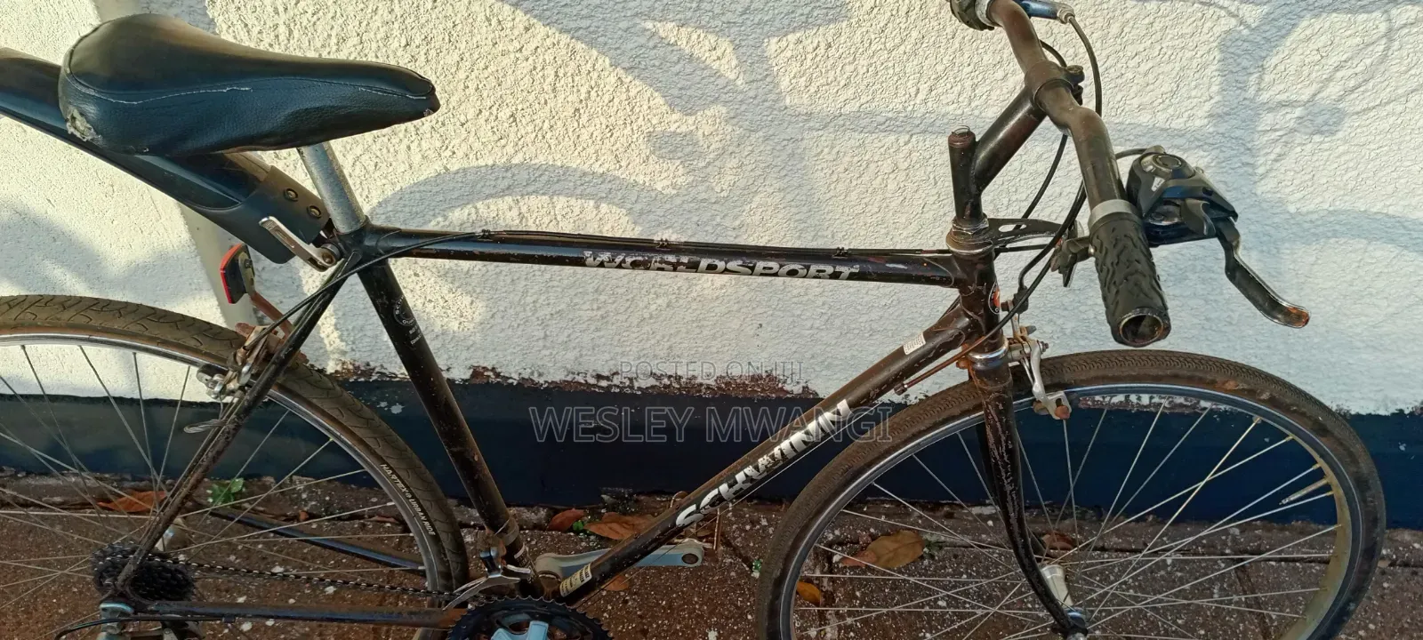 A Vintage Road Bike