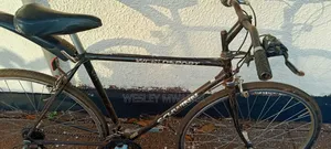 A Vintage Road Bike
