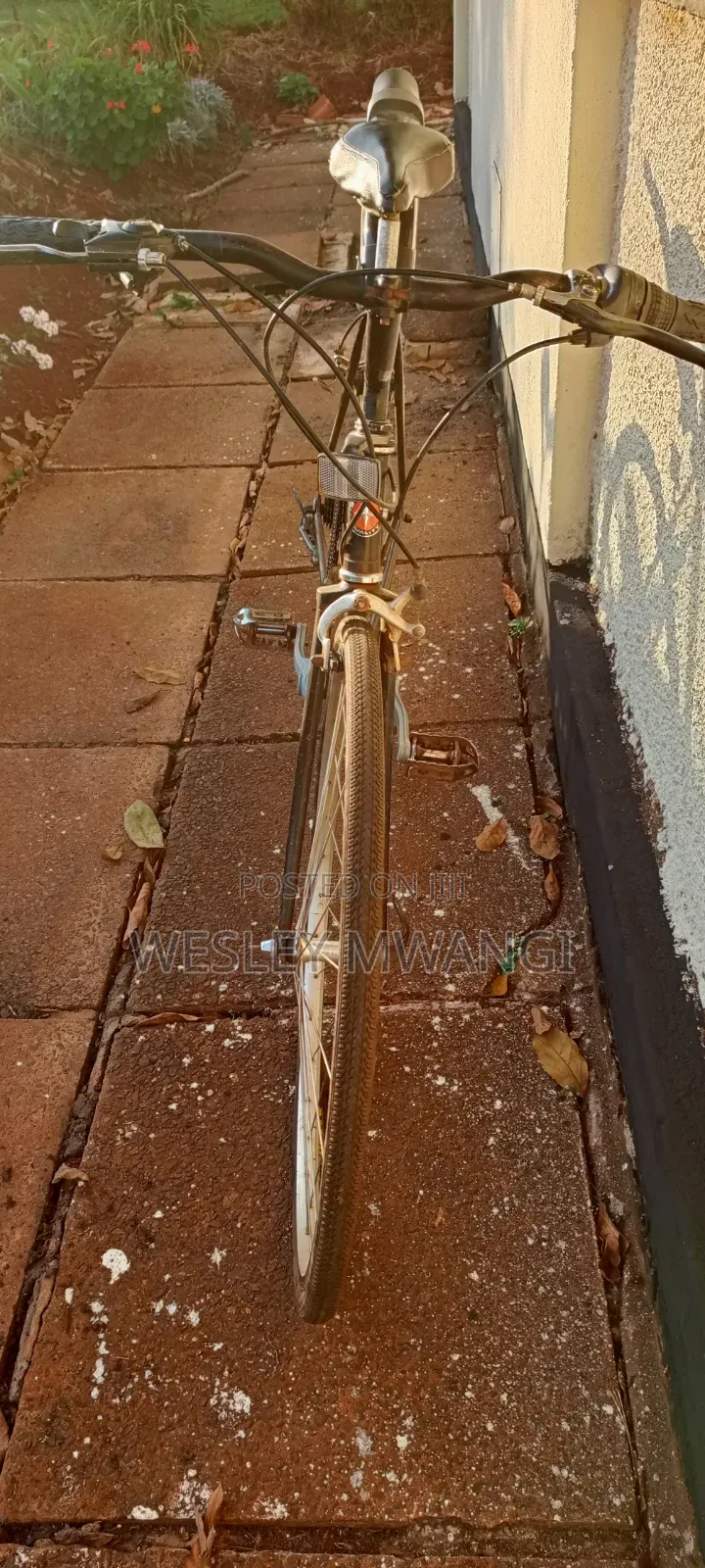 A Vintage Road Bike