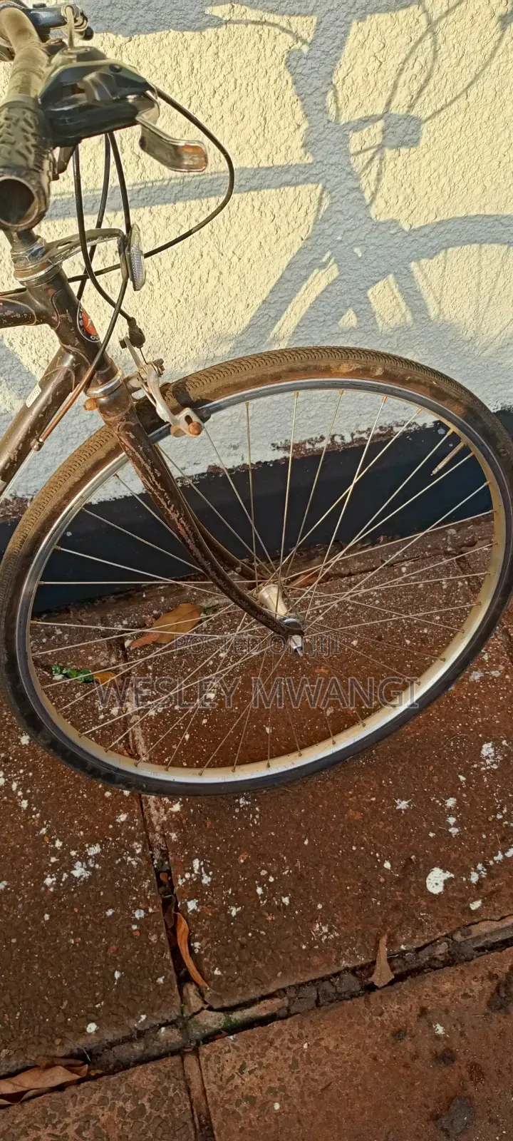 A Vintage Road Bike