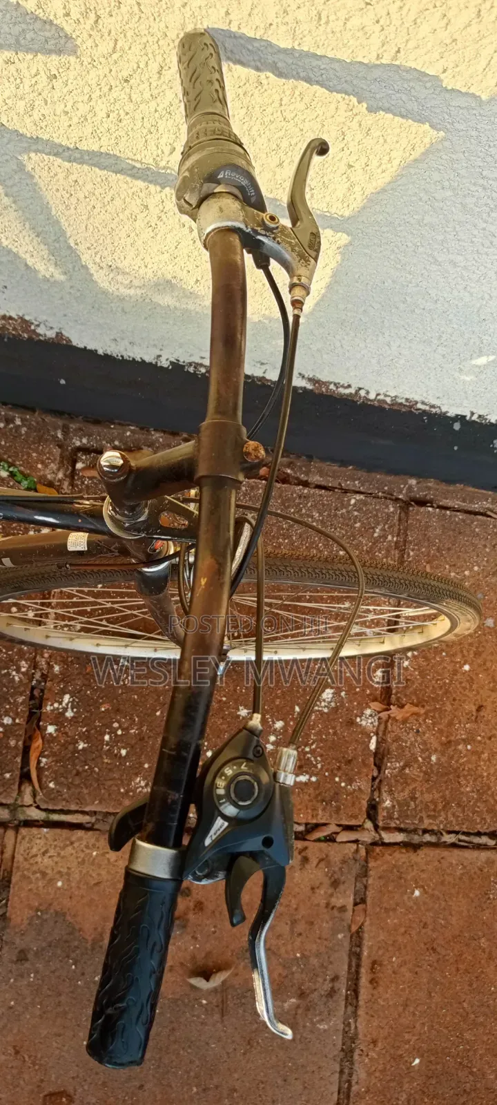A Vintage Road Bike