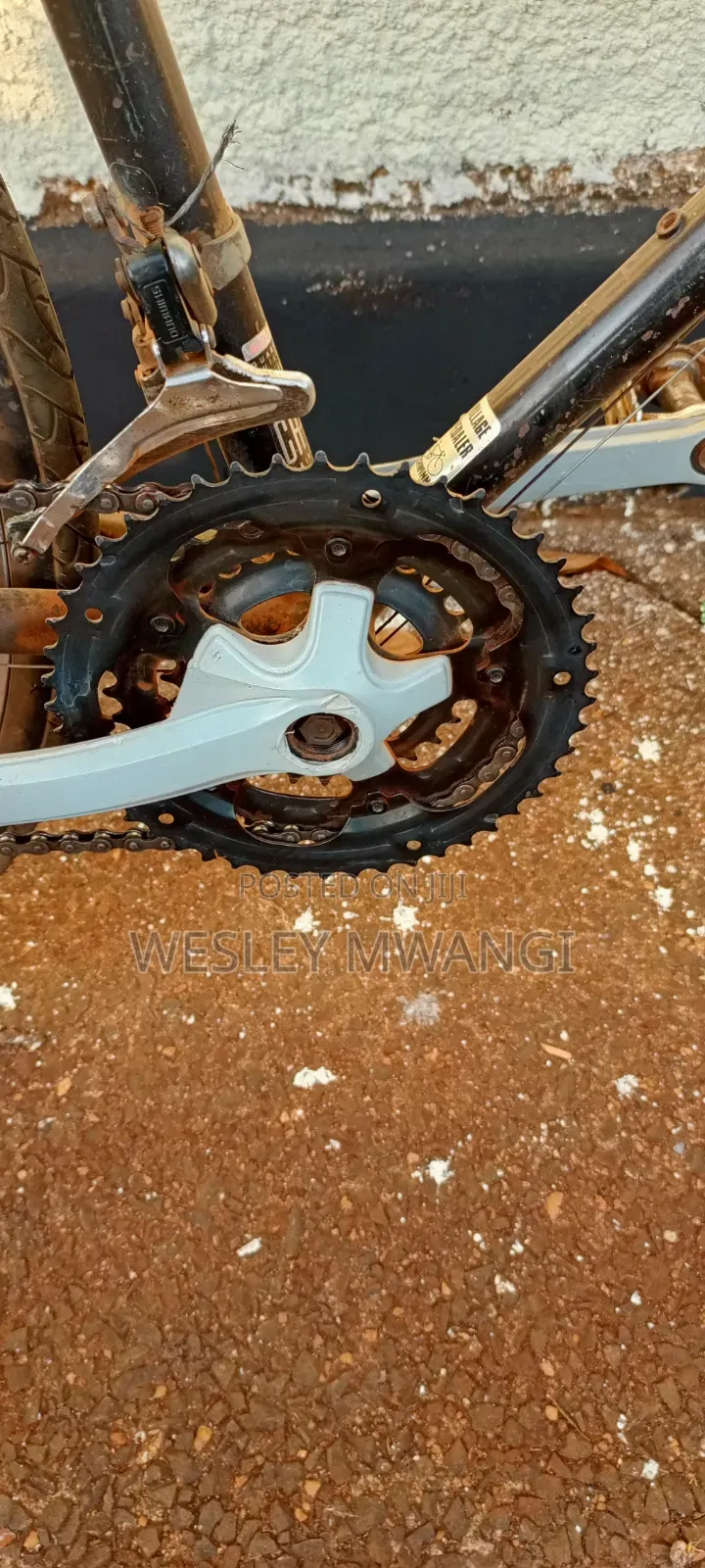 A Vintage Road Bike
