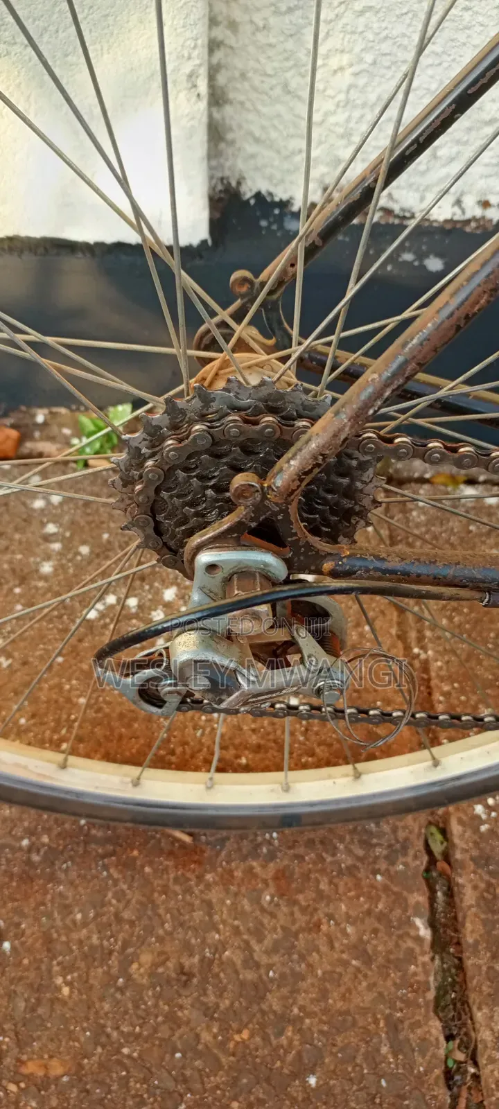 A Vintage Road Bike