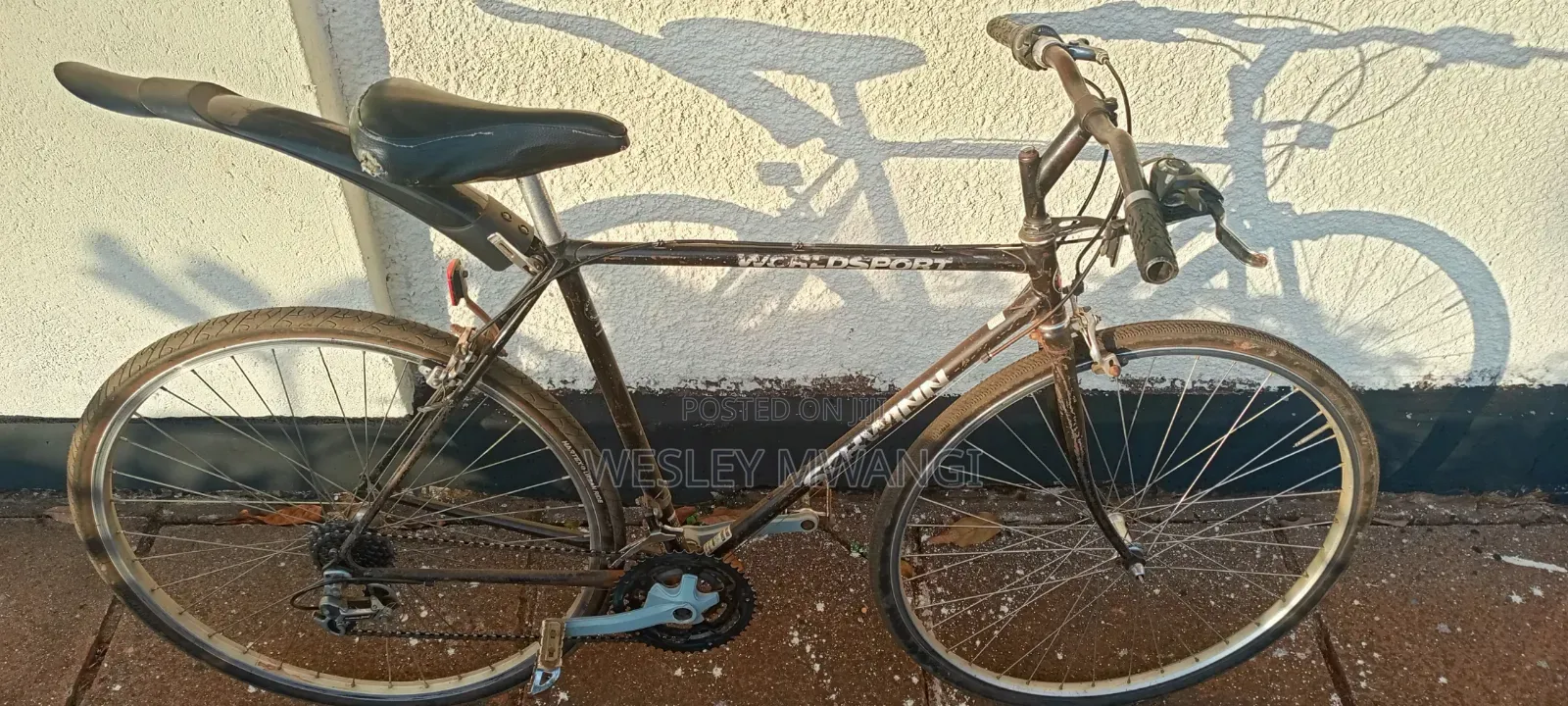 A Vintage Road Bike
