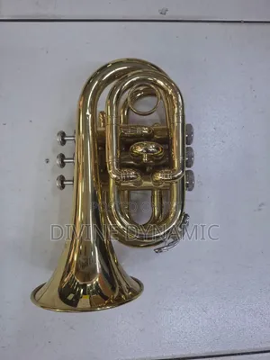 B Flat Pocket Trampet 9.4 Cm