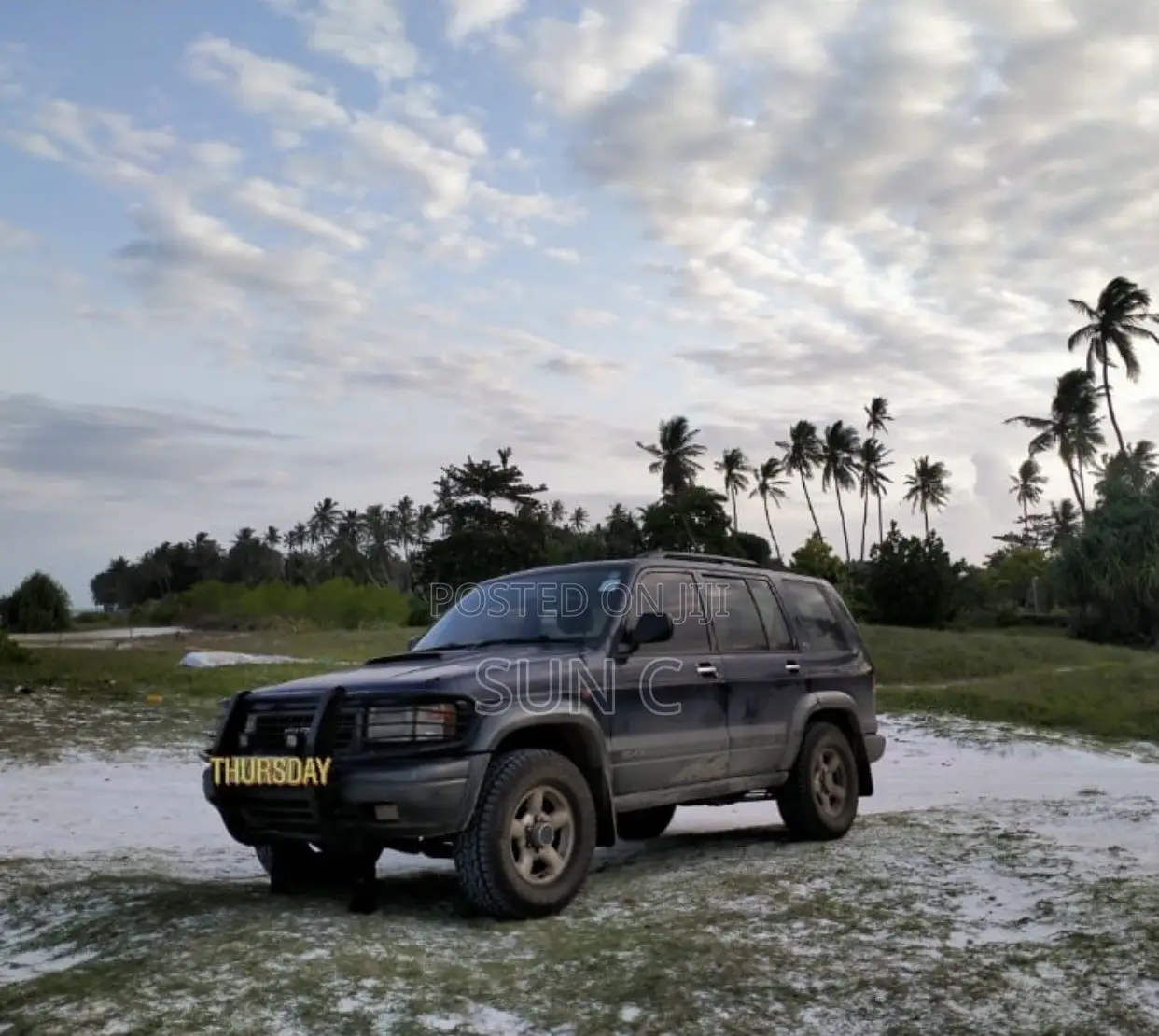 Isuzu Trooper 1998 Blue