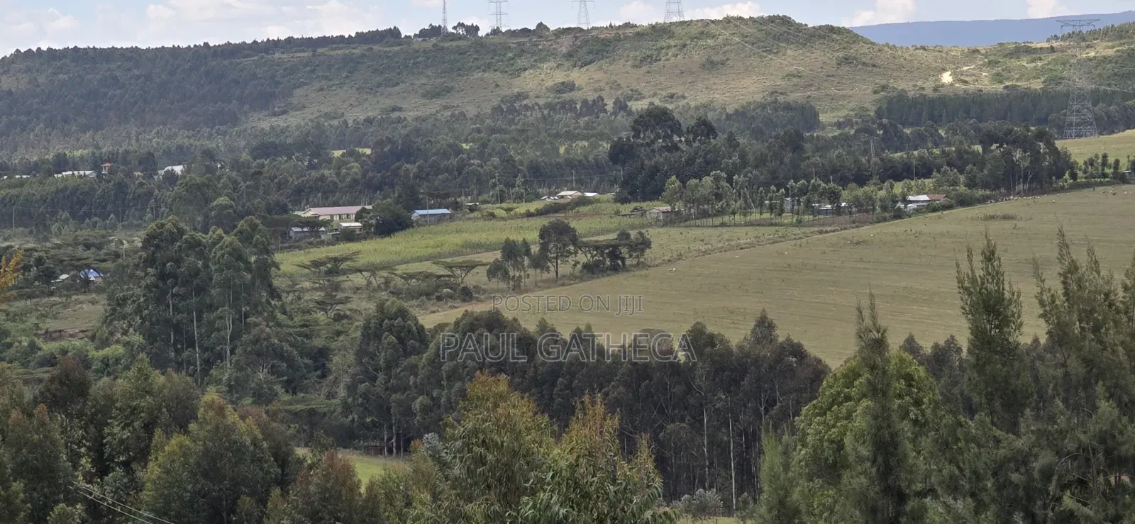 Land for Sale
