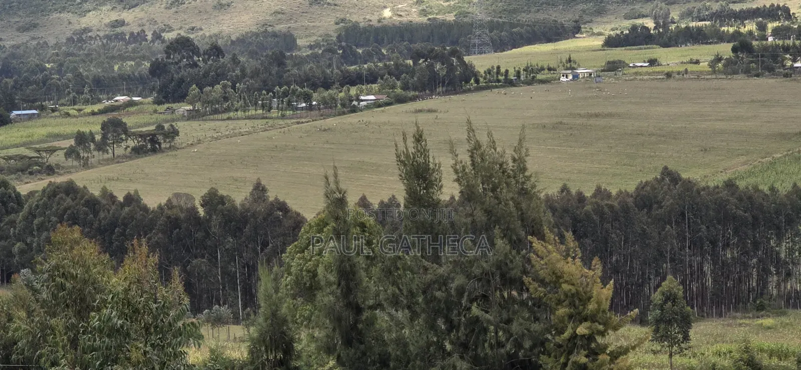 Land for Sale