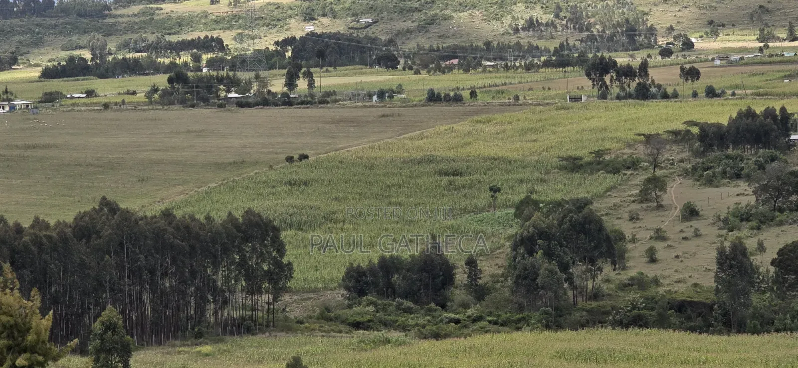 Land for Sale