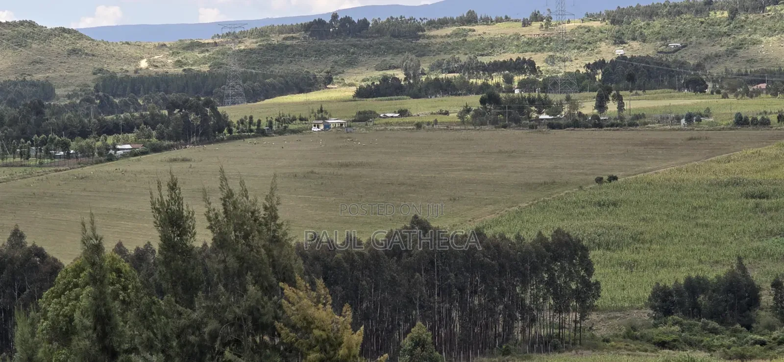 Land for Sale