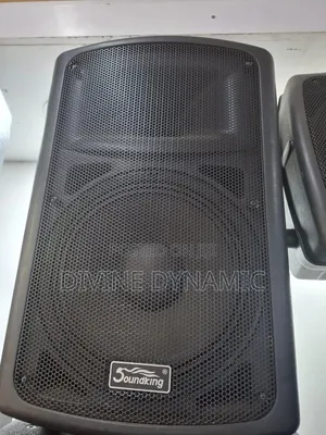 Soundking 12-Inch Mid-Range Speaker