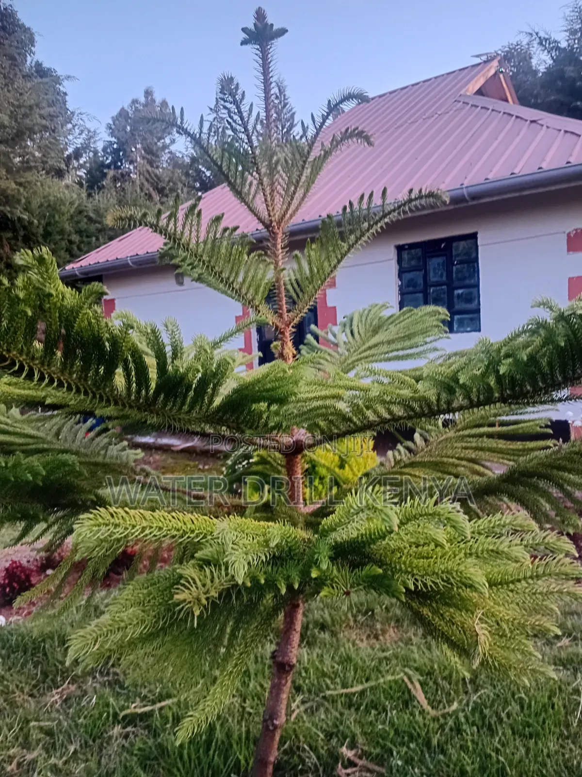 Holiday Home Kenya