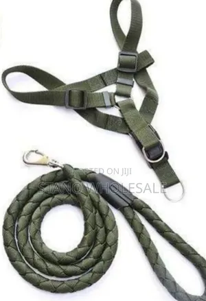 Pupy Dog Leash