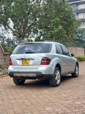 Mercedes-Benz M Class 2010 Silver