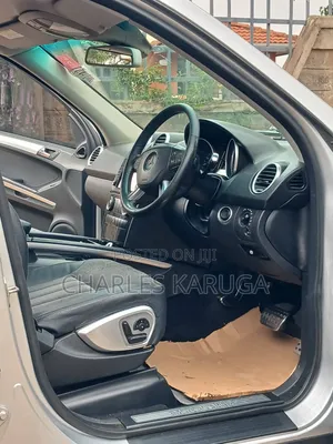 Mercedes-Benz M Class 2010 Silver