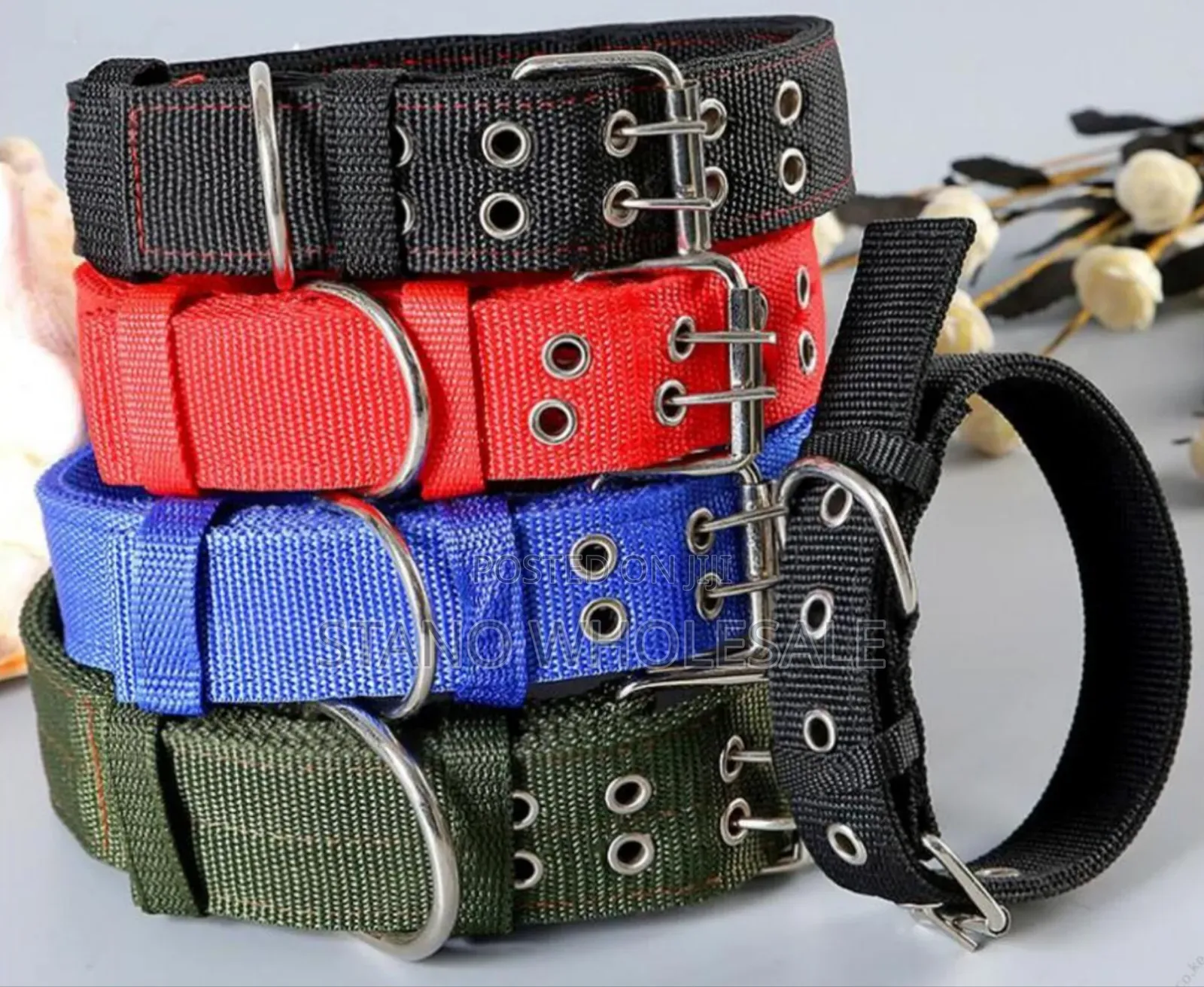 Dog Collar,