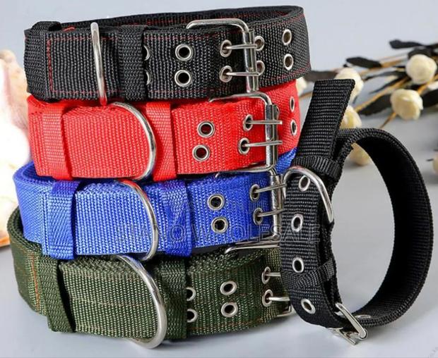 Dog Collar, - main view