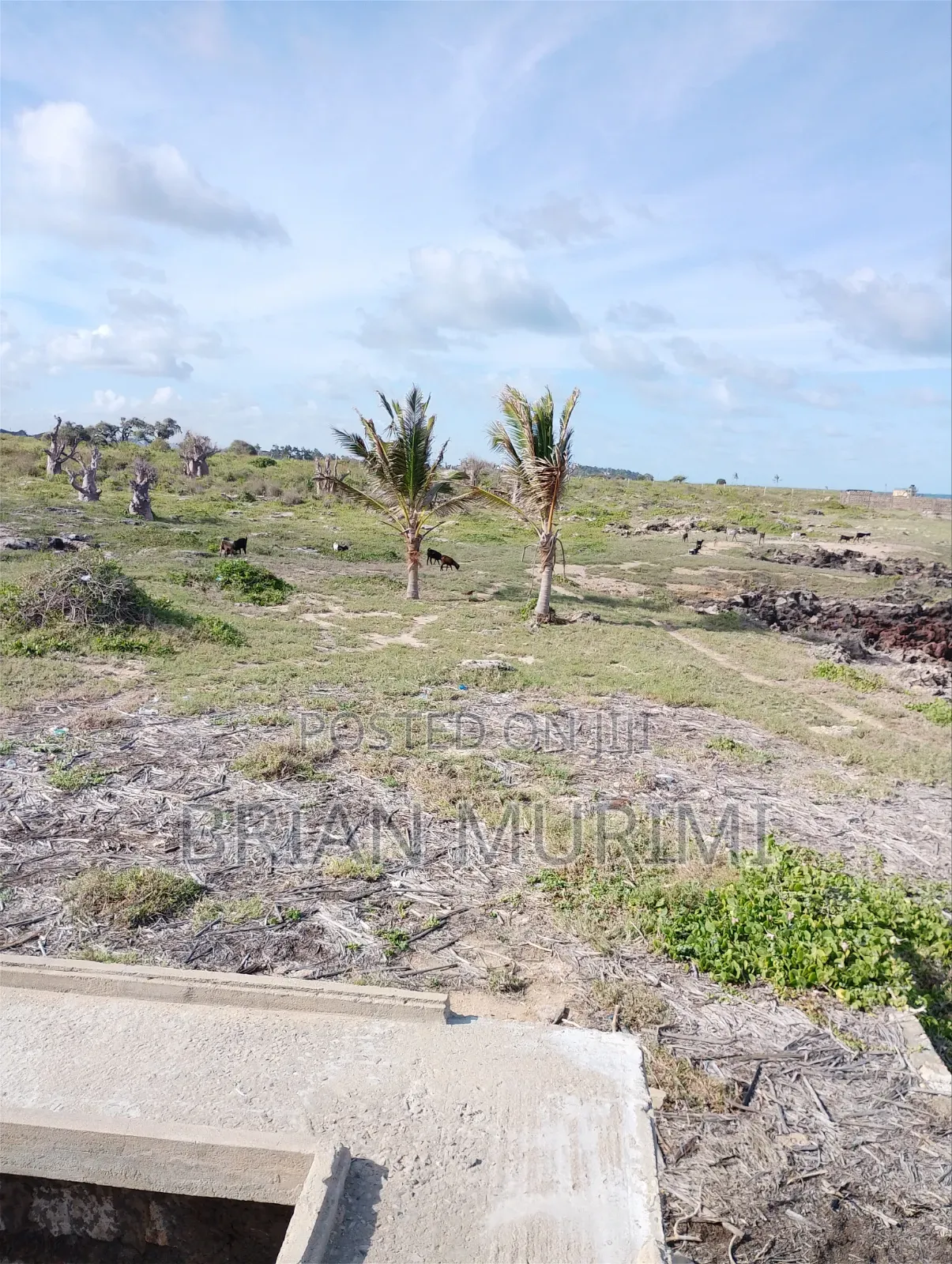 Beach Plot on Sale 